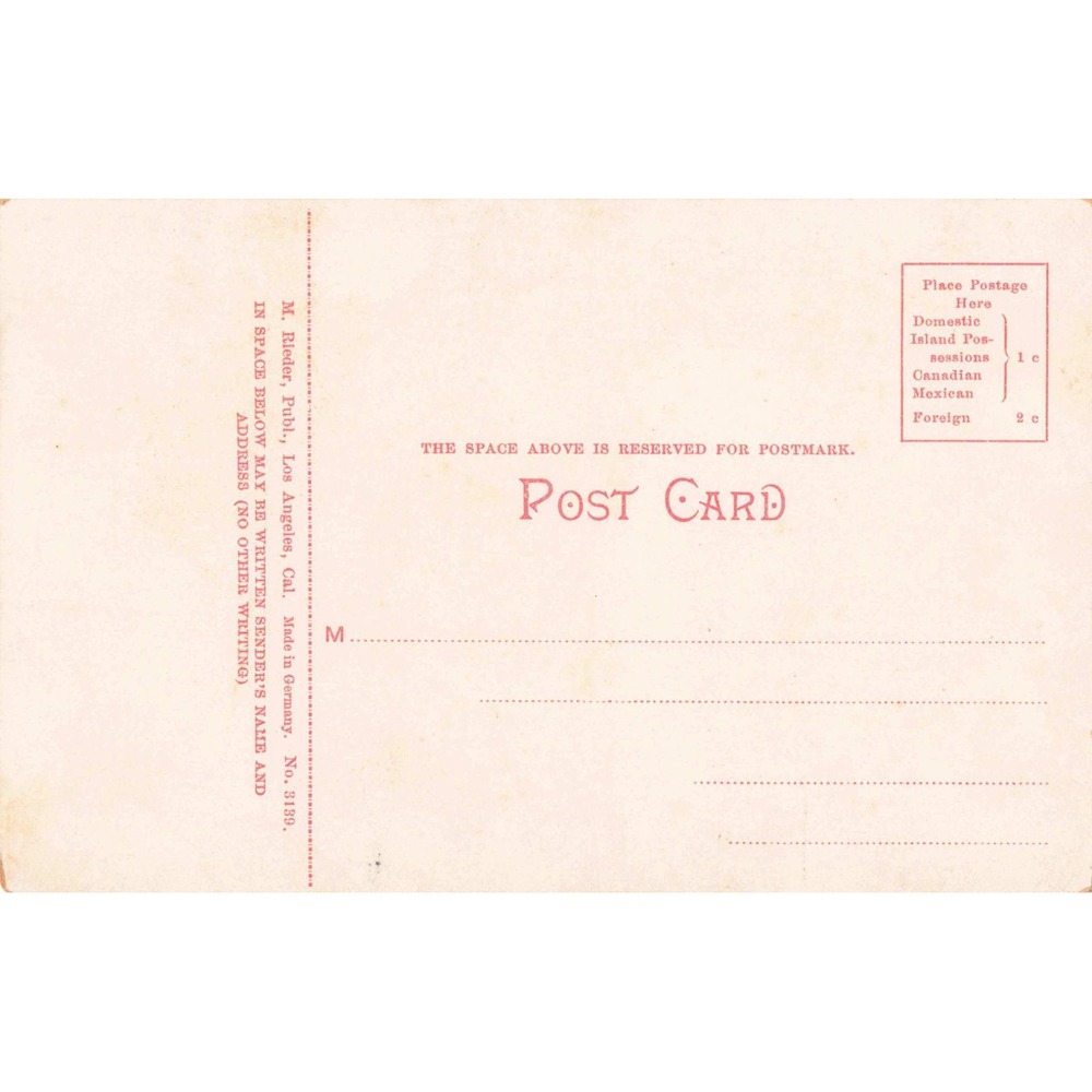 California CA Rose Bush Antique Postcard Divided Back M Rieder Los Angeles 3139 - Picture 2 of 2